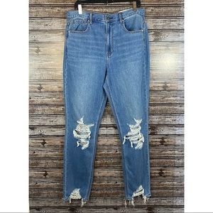 AE- Mom Jean- Classic Vintage Destroy Hi-Rise Jean